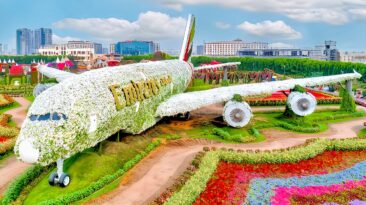 Dubai Miracle Garden