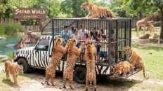 Safari World Bangkok