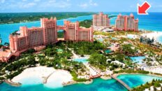 The Cove at Atlantis Paradise