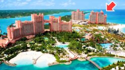 The Cove at Atlantis Paradise