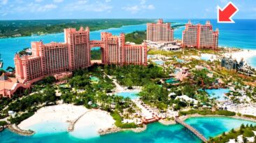 The Cove at Atlantis Paradise
